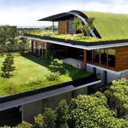 container home green roof 5